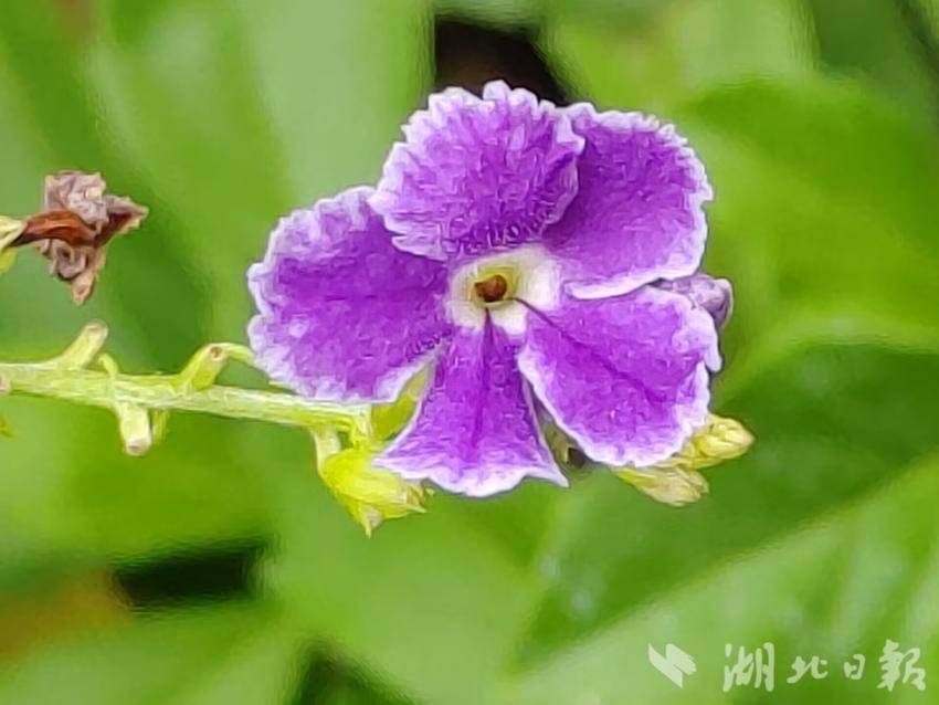 奥门新匍京赌娱乐场